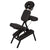 Stronglite Microlite Portable Massage Chair Package